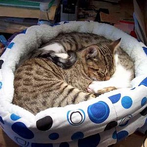 auf dem Schreibtisch 05.10.2008