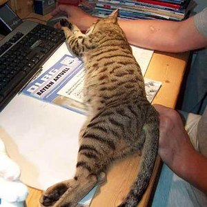 wie soll man so arbeiten???? 05.10.2008