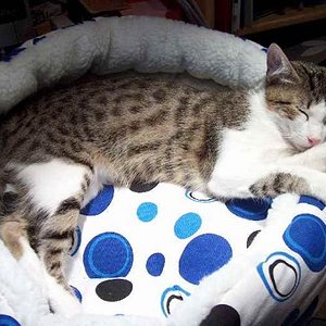 so geht das... 05.10.2008