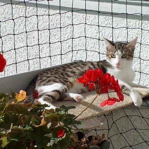 Die Sonne ist so schön.... 15.10.2008