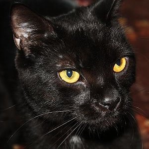 einfach nur hübsch ^^