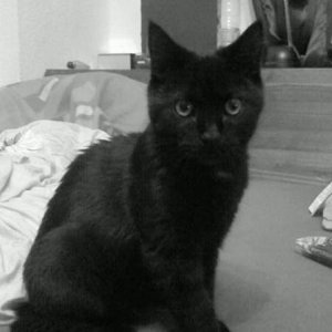 das ist auch schon wieder einige Monate her