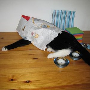 Missy mag Cheeseburger