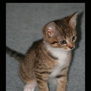 Maja ist auch am Nachdenken...