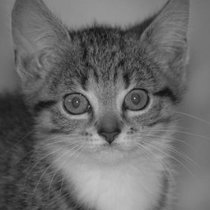 Oh schaue mir in die Augen...