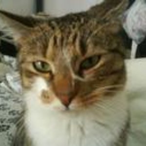 "Ich verstehe Ihre Argumente und dennoch...naja, naja, naja, ich bleibe prophilaktisch mal skeptisch."