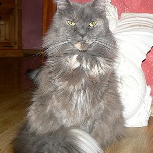 Meine Hexe ist eine super liebe Maus, und der unangefechtete Boss im Hause. Naja, nach mir natürlich