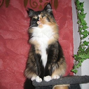 Die Jelly. Natürlich auch sehr lieb und vor allem schmusig.