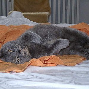 Bella ... sie wusste, welche Wirkung sie hatte  :-)