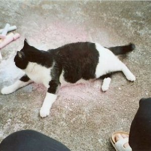 Mikesch bein "Srassenmalkreide-Bad"!

Die erste....