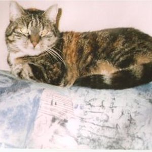 Nala ganz entspannt!