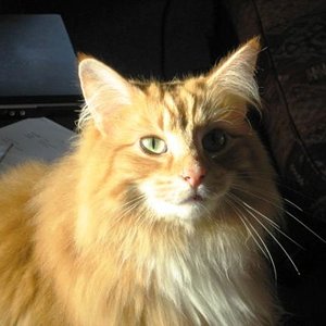 Gelion *10. Juni 2004