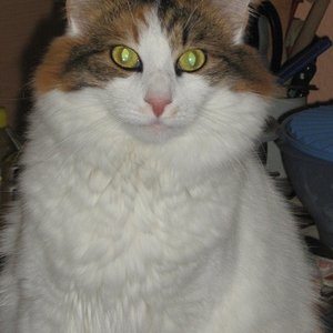 Unsere dicke Kati ;-)