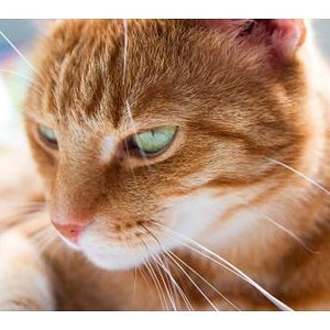 Sie ist ein richtiges Model, was? ;)