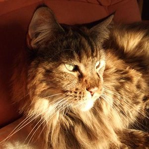 Dayna in der Abendsonne