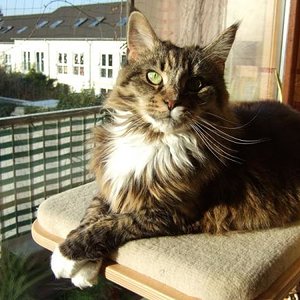 ohne Worte .... *schmacht*