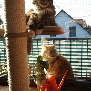 Knopf draußen & Sammy drin