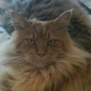 Leider ein Handybild....nicht so scharf aber süüüüüß ;-)