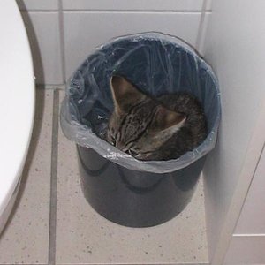 Nach ca. einer viertel Stunde des verzweifelten suchens...