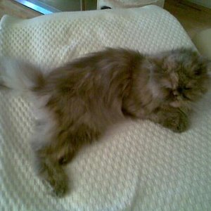 Cleo 19.11.08  Letzter Tag