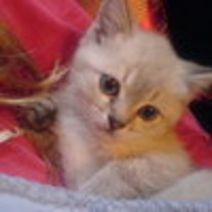 mogli mit 8 wochen....*lol*