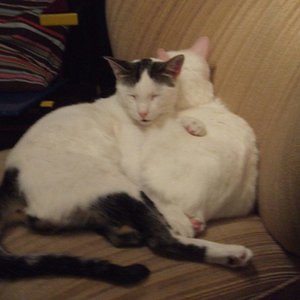 ...so ruht es sich bequem...