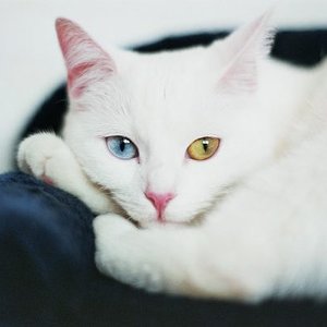 - ohne Worte - 


*schmelz*