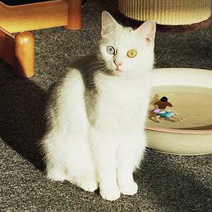 Man nennt mich auch Püppchen. Mein Bruder heißt Chuckie... :D