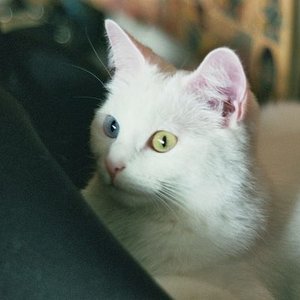 Irgendwas ist da spannend...