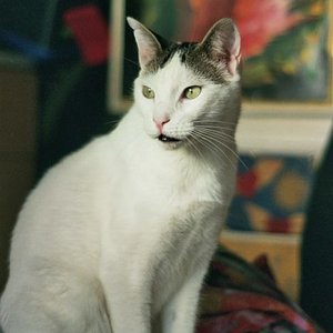 Einmal Modeln bitte - danke, reicht schon!