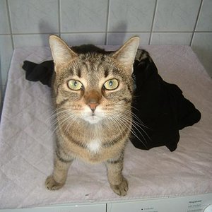 Wenn Blicke töten könnten...