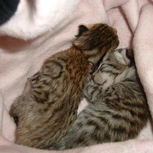 Da waren sie noch klein.