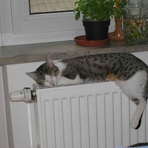 ohhhh wie schööööönnnn