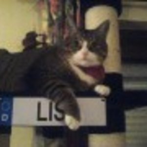 Lisa auf ihrem Aussichtsturm
+ Namenschild