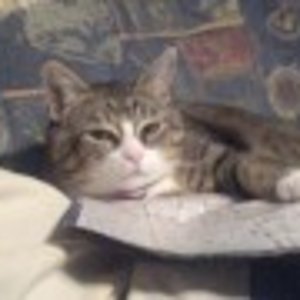 Lisa auf dem Sofa frisch aufgewacht