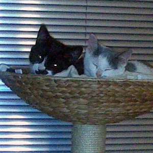 Bon froh das die beiden sich so gut verstehen...