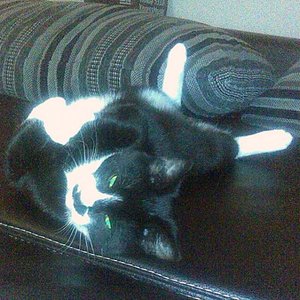 Murphy wird mutiger...