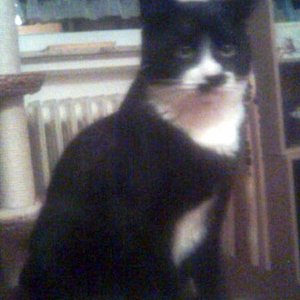 Murphy mal ganz nah bei mir...