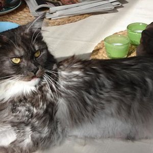 DSC00572 bearbeitet 1