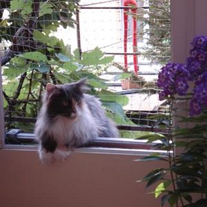 DSC00553 bearbeitet 1