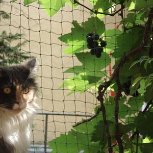 DSC00568 bearbeitet 1