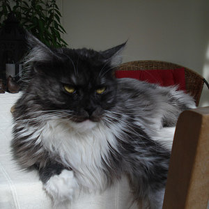 DSC00561 bearbeitet 1