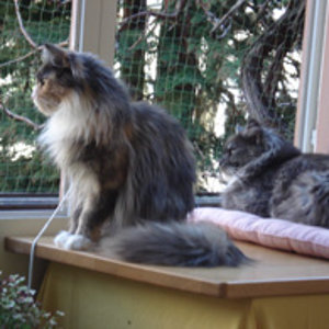 Orea und Joy Veranda kleinDSC00328