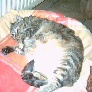 meine neue Kuscheldecke