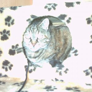 Da verstecke ich mich wenn ich meine Ruhe haben will