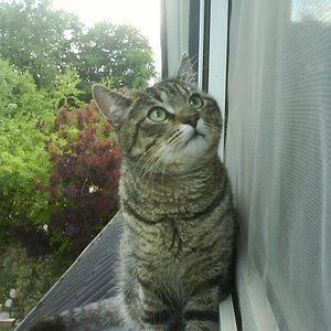 Wie süüß es guckt *-*