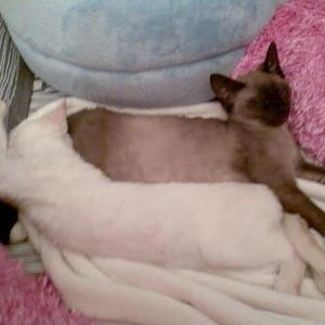 Mal richtig ausstrecken