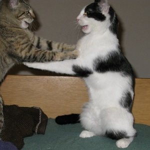 dancing the night away