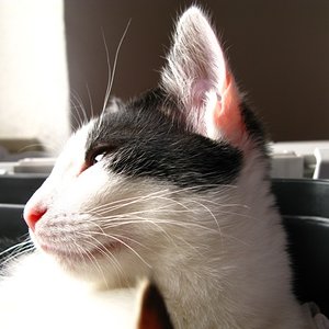 seine blicke - eine sehnsucht, die erschüttert.