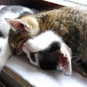 das grösste liebespaar aller zeiten